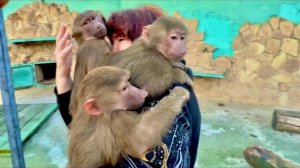 Наконец-то Тося пошла на ТЕСНЫЙ КОНТАКТ со мной, а Люся отжимает еду у медведей