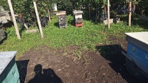 первые осенние работы