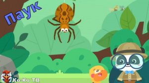Игра "BabyBus. Паук". Детская познавательная игра. (бейбибас, панда Кики).