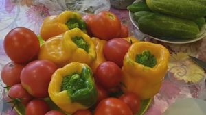 Просто, выгодно, всегда под рукой! Свежая зелень, овощи и салаты всю зиму на столе