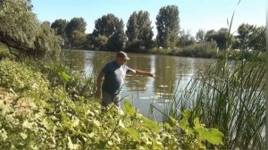 какая наживка лучше? черви или "коронавирус"?!