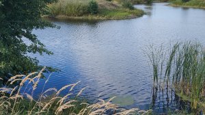 Прогулка на залив