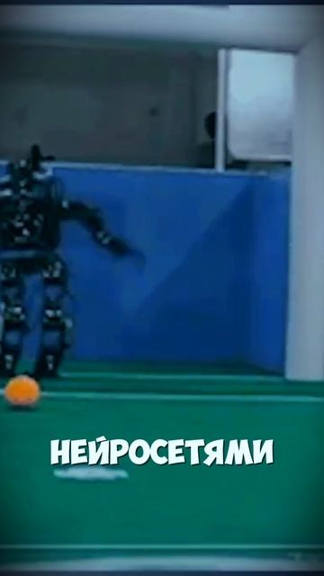 Переводы в Китай 2025 - Что Выбрать