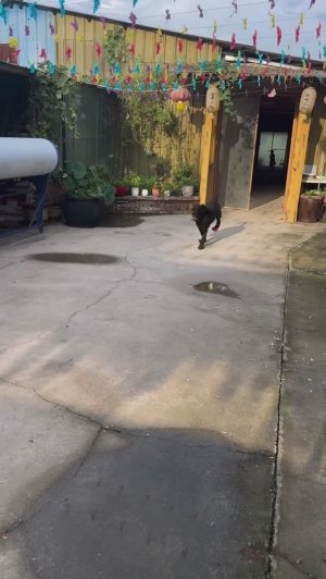 😂Приобули!