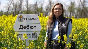 Озимый рапс Дебют – гибридная мощь и высокий урожай