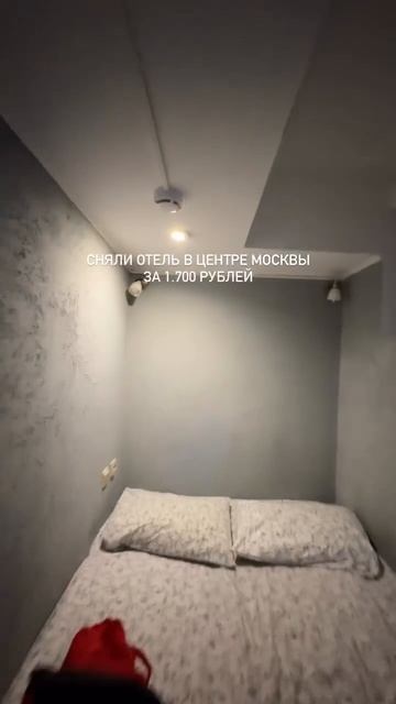 🤯 Отели для гномов появились в Москве #shorts