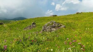 О различных периодах в духовной жизни. Часть 1