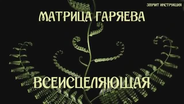 МАТРИЦА волновой генетики П.П. Гаряева от СофтРадио ВОССТАНОВЛЕНИЕ Всего Организма смотреть онлайн