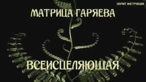 МАТРИЦА волновой генетики П.П. Гаряева от СофтРадио ВОССТАНОВЛЕНИЕ Всего Организма