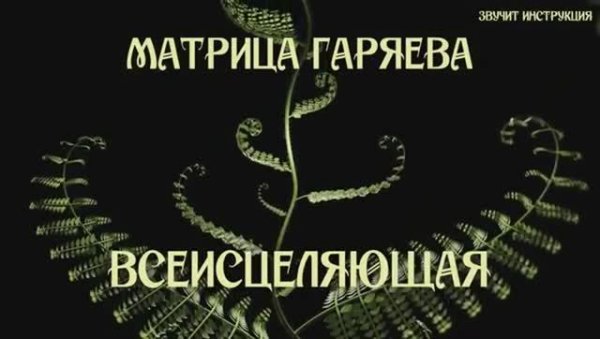 МАТРИЦА волновой генетики П.П. Гаряева от СофтРадио ВОССТАНОВЛЕНИЕ Всего Организма