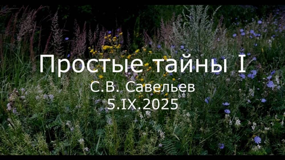 С.В. Савельев - Простые тайны I смотреть онлайн