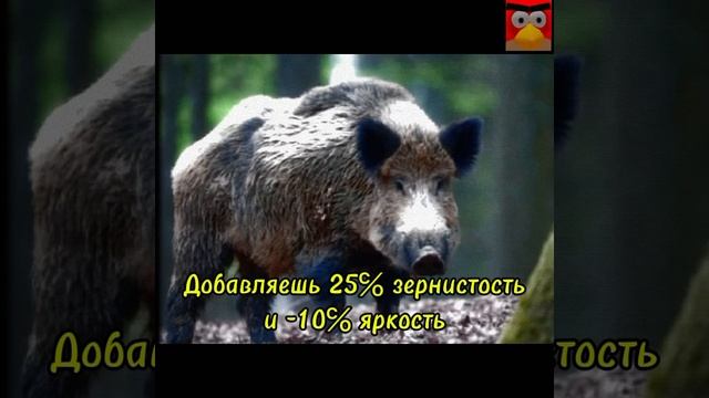 Как сделать эффект Кино 60-80х