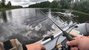 РЫБАЛКА  на СПИННИНГ. ЩУКА и ОКУНЬ в августе 2025.