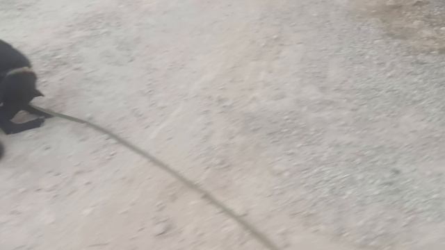 30 дней движения. День 1. 01.09.2025 смотреть онлайн