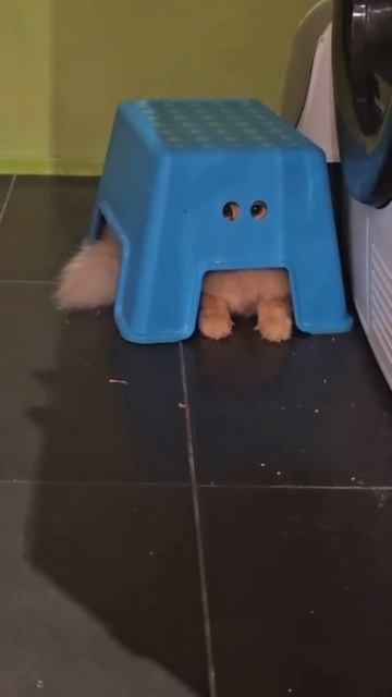 на глазном #shorts