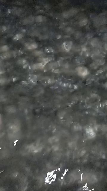 Анапа пионерский проспект нашёл мазут посмотрите до конца #rutube #видео