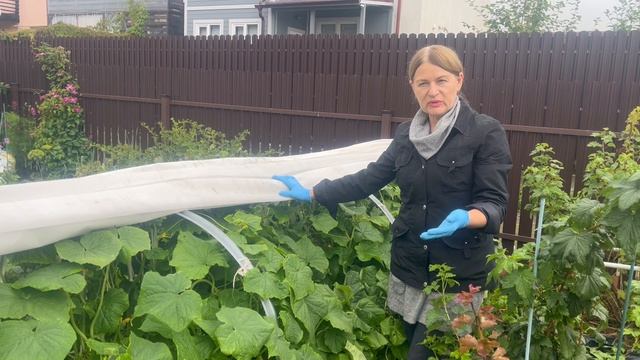 Мои 1,5 сотки