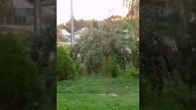 Цвета травли за 2дня, вчера красный сегодня белый.