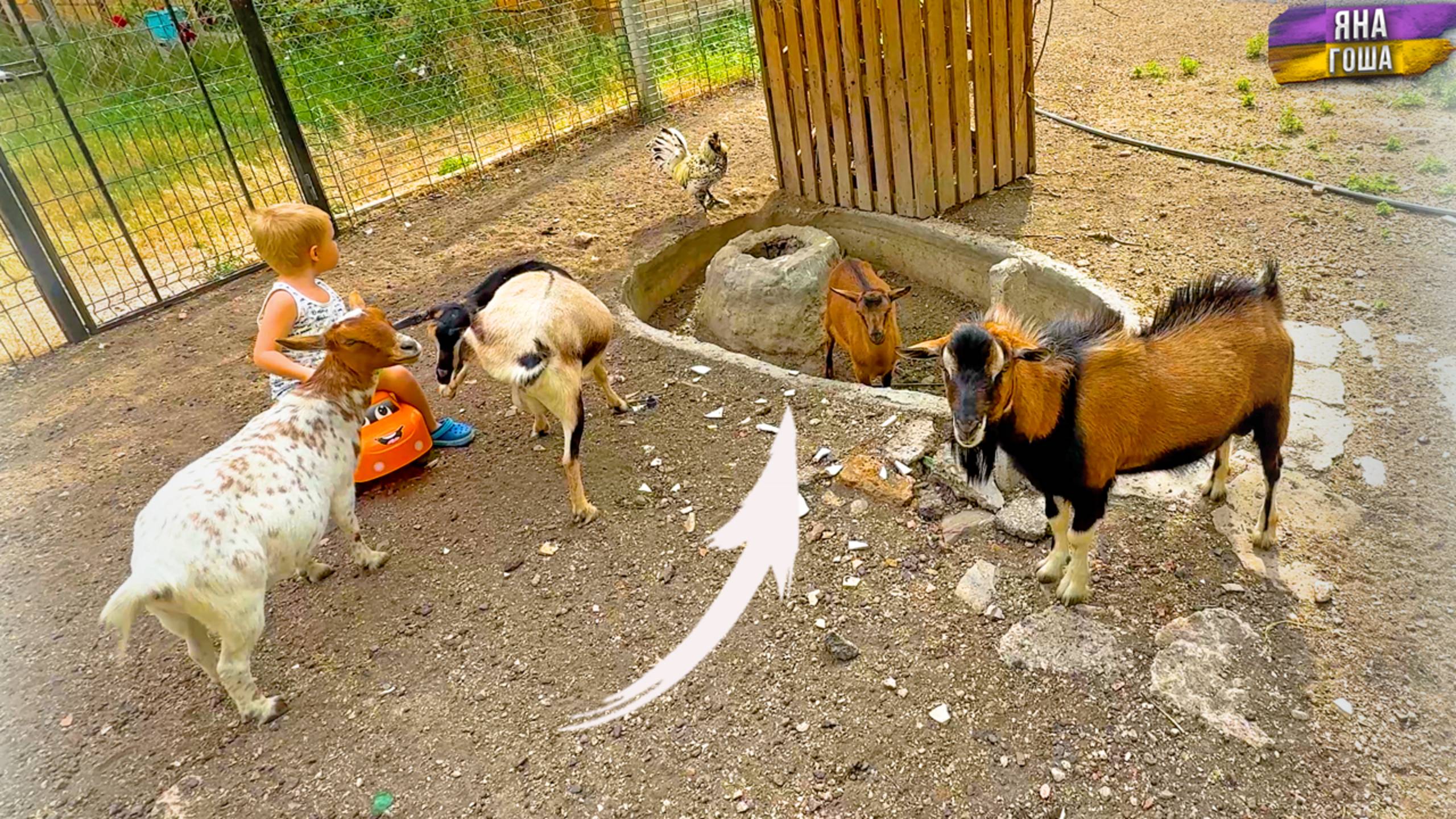 Здесь СЛУЧИЛОСЬ СТРАШНОЕ! Пришло время рассказать Вам грустную историю! смотреть онлайн