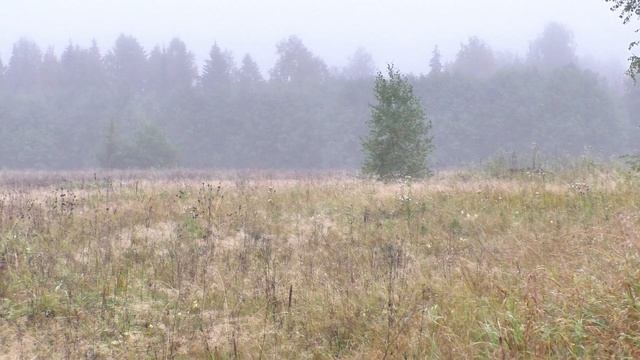 деревушка в тумане смотреть онлайн