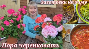 Встречаем осень Садовые дела Самое время сделать это с цветами.Заготовки на зиму Лечо и Фасоль