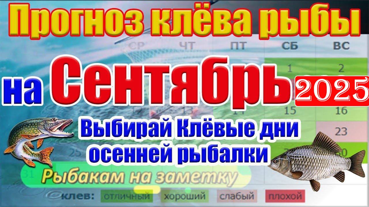 Право знать!