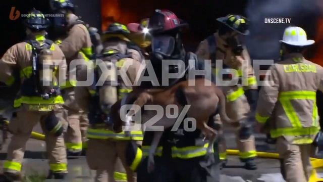 ДЛЯ ЧЕГО НУЖНЫ МУЖЧИНЫ смотреть онлайн