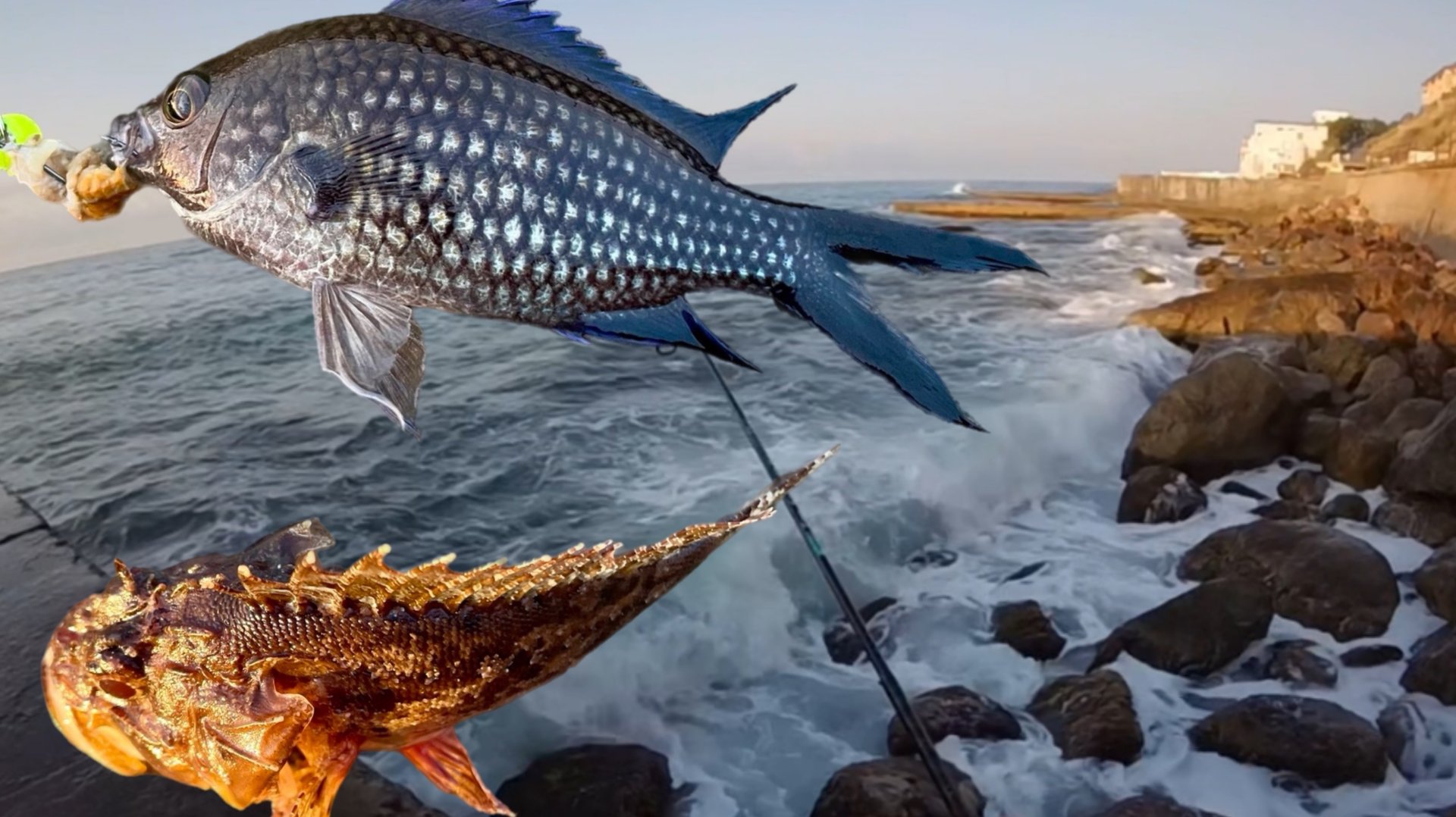 Рыбалка в Крыму 2025 смотреть онлайн