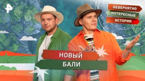 Новый Бали — Невероятно интересные истории (02.09.2025)