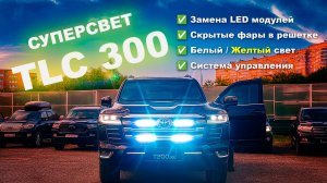 Секретное оружие Крузака: ФАРЫ-НЕВИДИМКИ в решетке | TLC 300