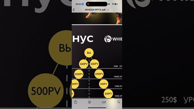 Маркетинг план компании Виеда Whieda