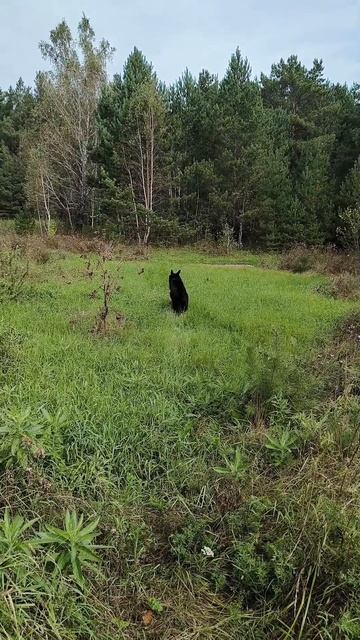 Проводили лето,встречаем осень....