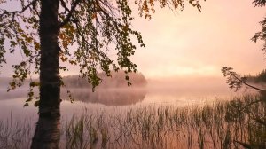 Рыбалка в Карелии. Новое озеро. Копчёные окуни.