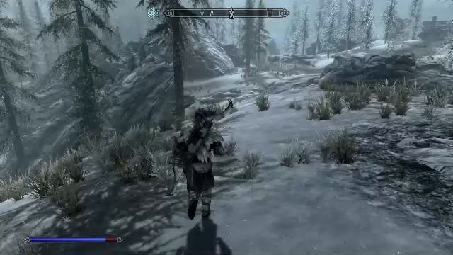 The Elder Scrolls V Skyrim