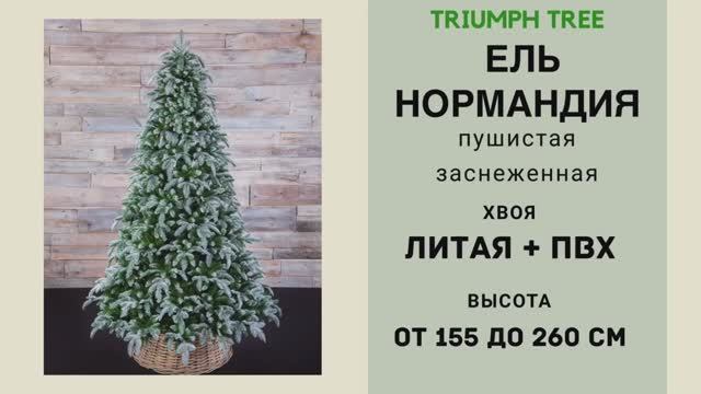 Triumph Tree - ОБЗОР искусственной ели Нормандия пушистая заснеженная смотреть онлайн
