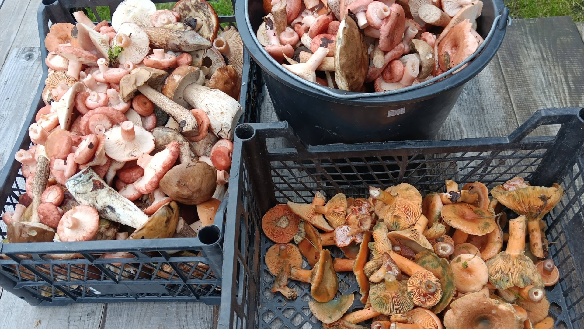 Дневник_ВОЛОГЖАНКИ