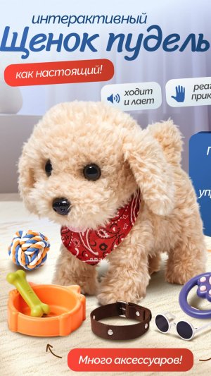 Интерактивная игрушка TrendToys Собака на поводке  NIT004