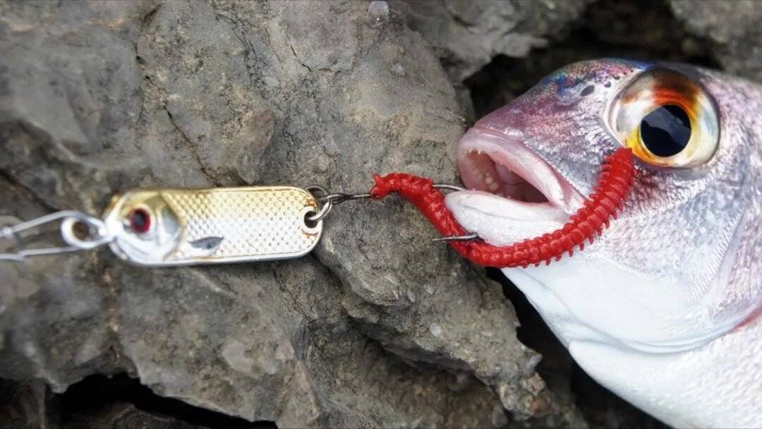 Buler. Булер для рыбалки- уловистая снасть своими руками, просто и быстро!