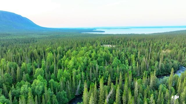 DJI Mavic 3, Cinematic