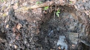 Коп по войне.ПРО КОП.Серия 120. Перстень. (1)