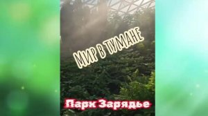 Мир в тумане, Москва, парк Зарядье.