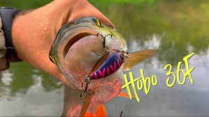 🔴 НАШЁЛ КОНЁК! Недорогой воблер, который ДЕЙСТВИТЕЛЬНО ловит! 💥💥💥