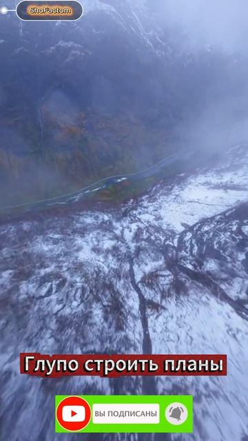 Глупо строить планы на всю жизнь — Сенека