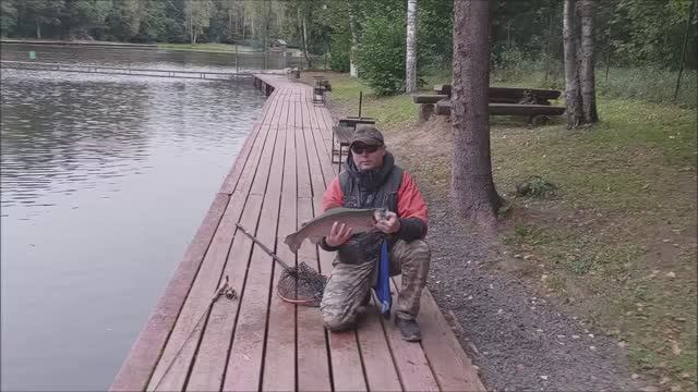 Клёвое место Лосиный остров