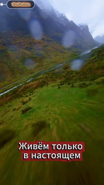 Живём только в настоящем - Марк Аврелий