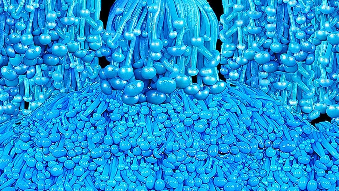 асмр грибочки смотреть онлайн