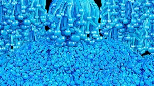 асмр грибочки