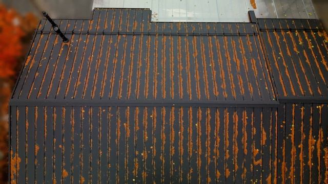 Дом с фальцевой кровлей "Топ фальц" смотреть онлайн