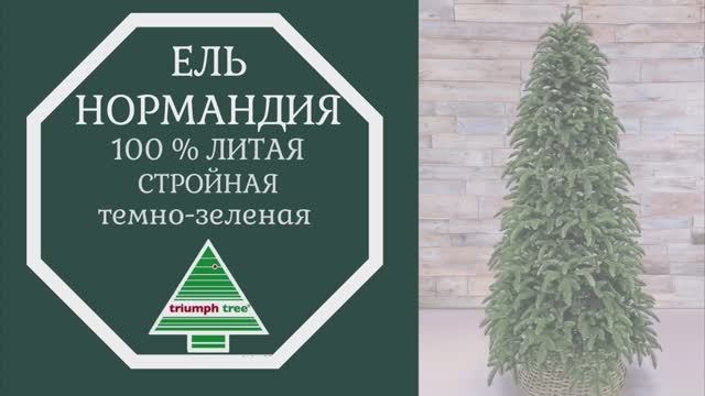 Triumph Tree - Обзор искусственной ели Нормандия 100% литая стройная, темно-зеленая смотреть онлайн
