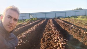 Итоги урожая Сарпо Мира в 2025. Часть 3